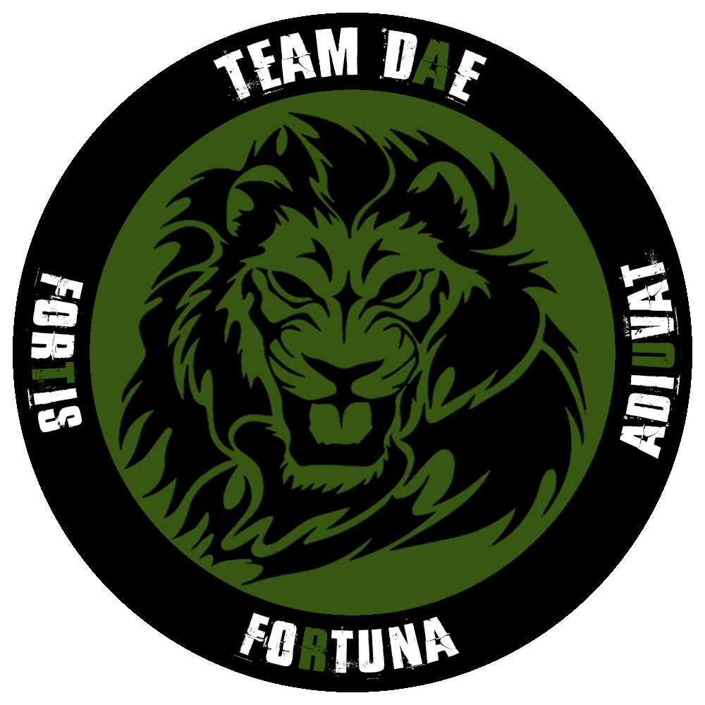 TeamDAE